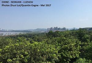 Luzhou 182